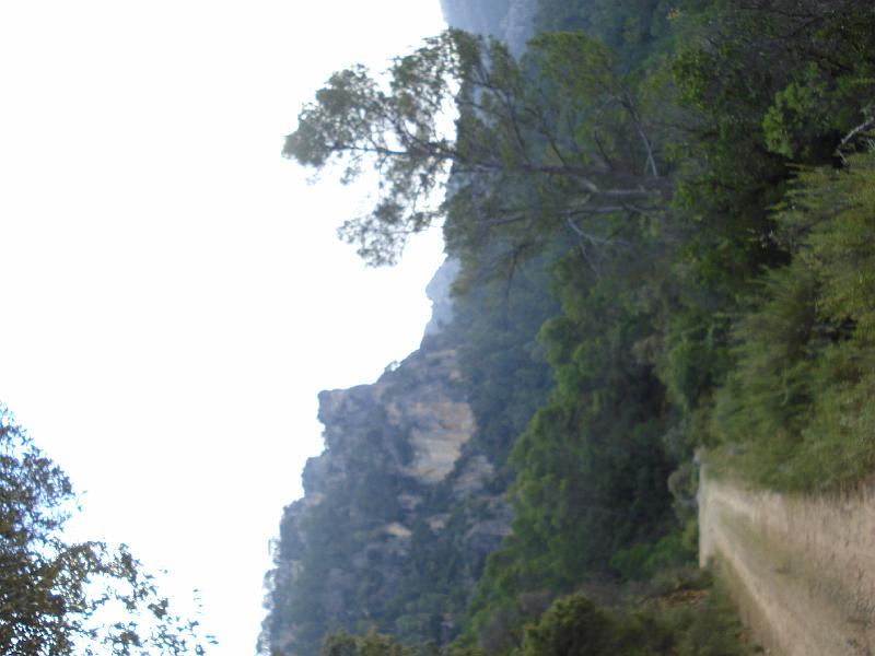 Original image