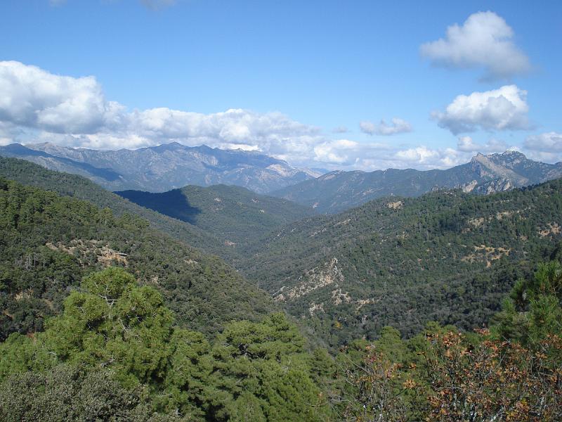 Original image